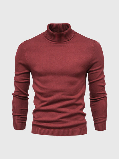 DAVARO – Jersey de hombre de cuello alto slim fit con diseño elegante