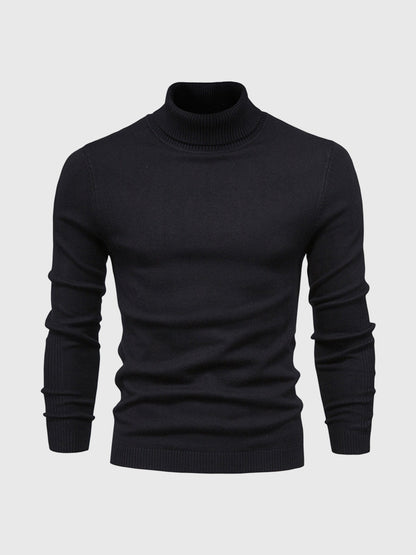 DAVARO – Jersey de hombre de cuello alto slim fit con diseño elegante