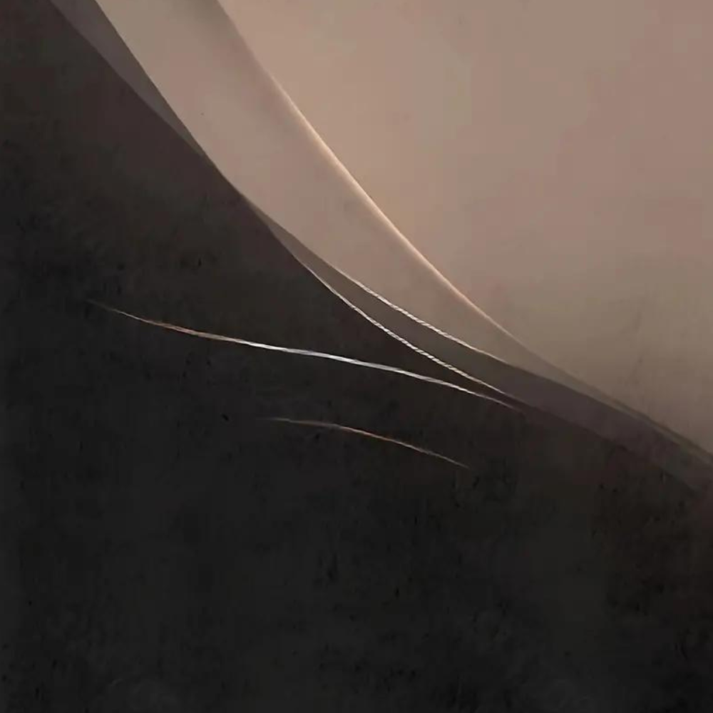 NEREA - Sudadera degradada con cremallera y mangas largas para mujer